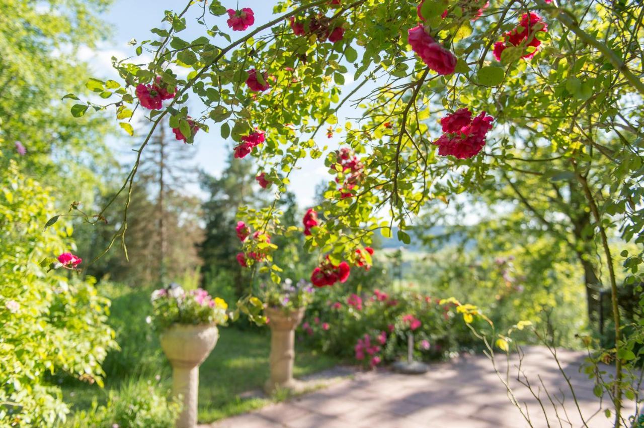 Вілла Ferienhaeuschen Sans Pareille Bei Bayreuth Hartmannsreuth Екстер'єр фото